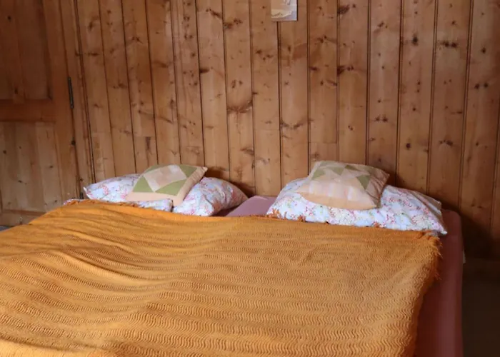 Sunshine Belle Etoile